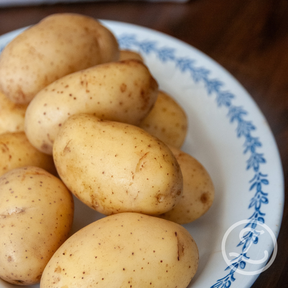 Årets potatis 2026 Queen Anne